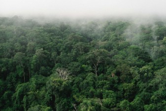 forêts françaises